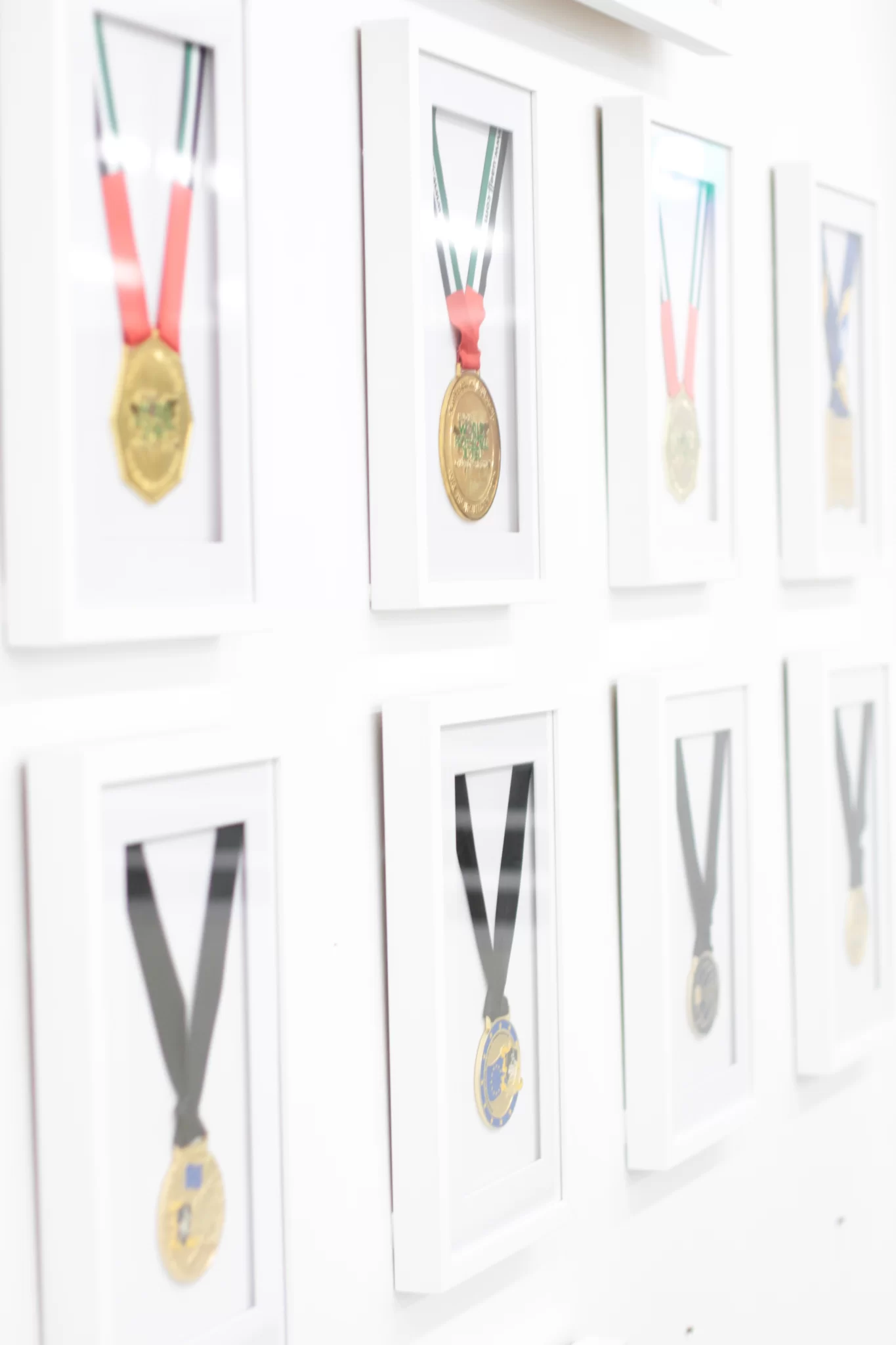 Bruno Alves Medals
